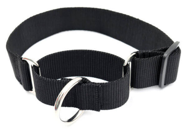 Black wide martingale collar