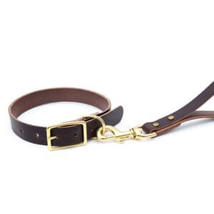 traffic leash and dog collar attached leather
