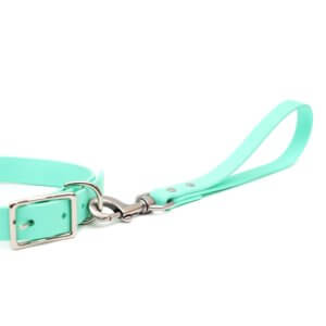 traffic leash w collar 2 waterproof