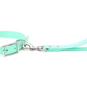 traffic leash w collar biothane seafoam green