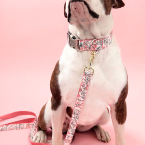 Laminated floral dog collar bulldog emma