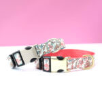 Pink and Teal Floral Laminated Cotton Dog Collar 'Emma'