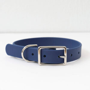 navy waterproof belt buckle dog collar