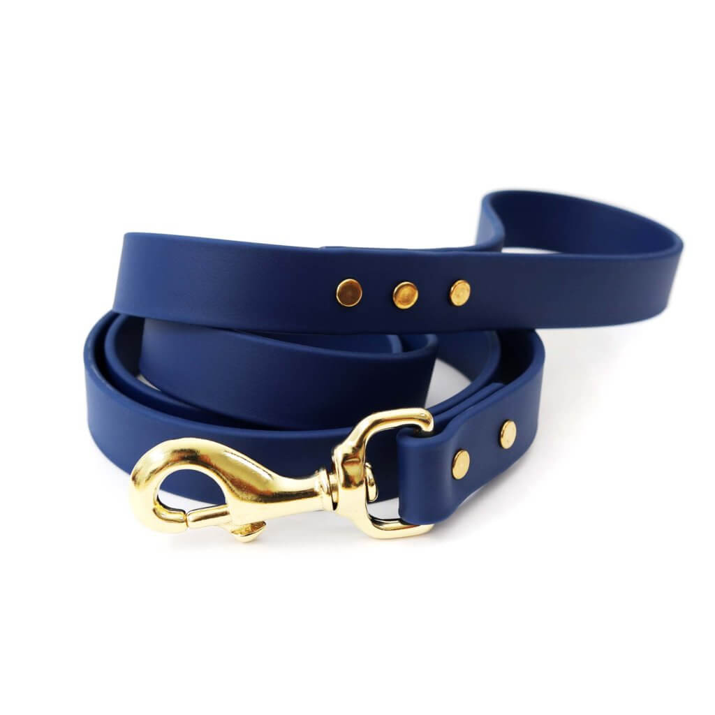 navy waterproof dog leash biothane