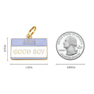 good boy size comparison dog id tag