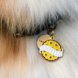 Pupperoni dog ID tag lifestyle image