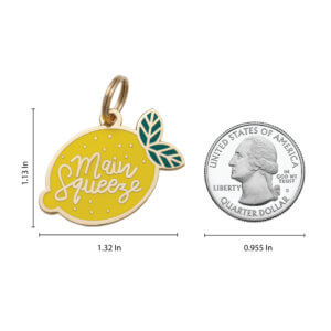 Lemon Main squeeze dog id tag size