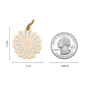 Daisy Dog ID tag size