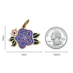 Wildflower dog id tag size comparison