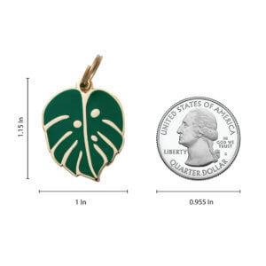 monstera leaf size comparison dog id tag