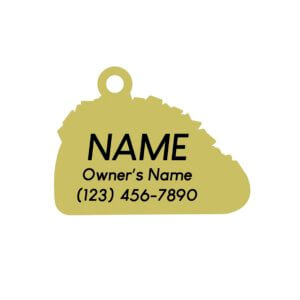 Taco the town back image dog id