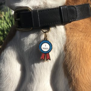 I tried Dog ID tag lifestyle image