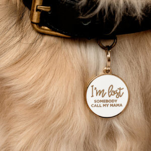 I'm lost call my momma dog tag