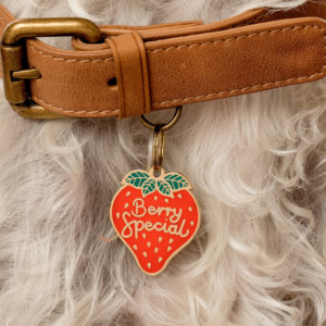 Berry Special dog id tag lifestyle image