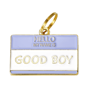 Good Boy Dog ID tag