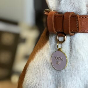 loyal as fuck dog tag