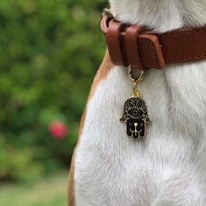 Hamsa hand dog id tag black lifestyle