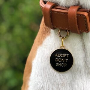 adopt don't shop dog id tag lifestyle
