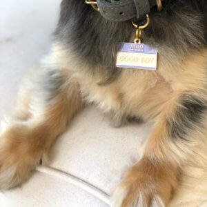 good boy dog id tag lifestyle image