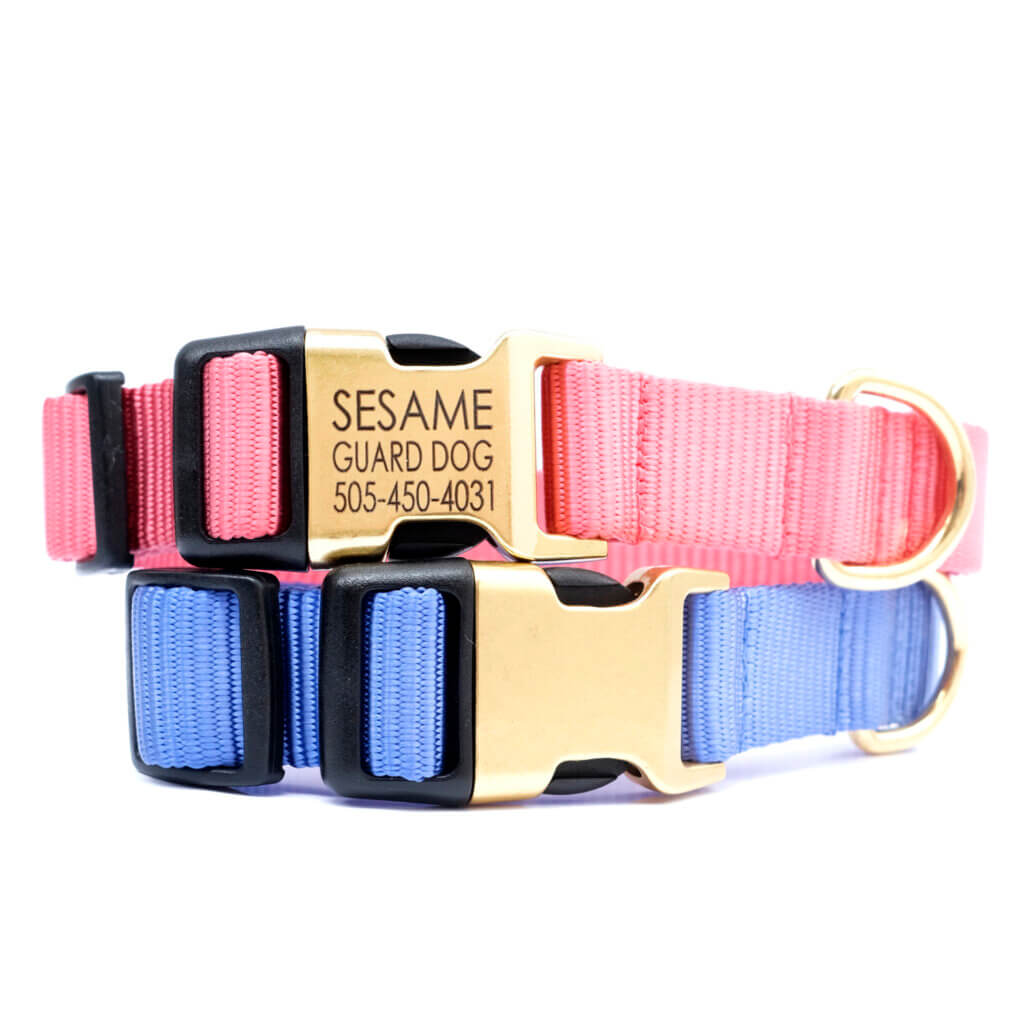 brass hybrid buckle dog collar engraved