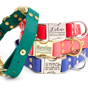 Waterproof Martingale Dog Collars