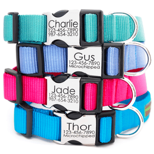 Coastal Pet Metal Buckle Nylon Adjustable Personalized Dog Collar in Light Blue, 5/8 Width