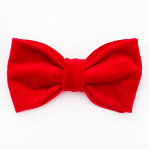 Scarlet Red