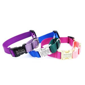 two tone martingale dog collar personalized engraved