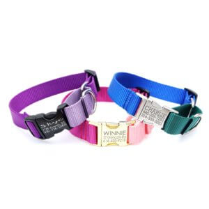 two tone martingale dog collar personalized engraved