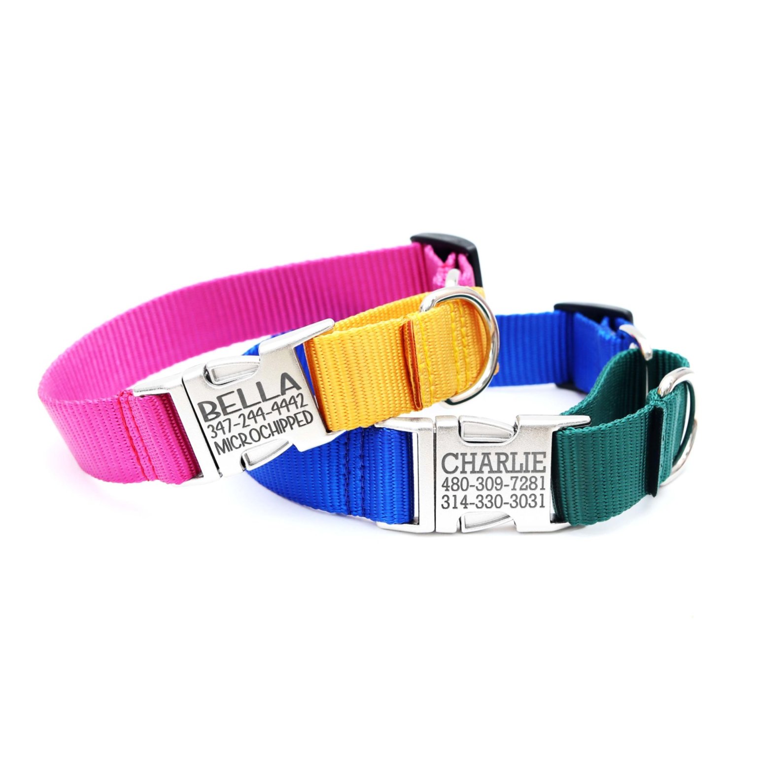 Colorful Two Toned Martingale Dog Collar Personalized Buckle