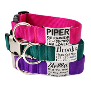 1.5 nameplate nylon buckle collars wide