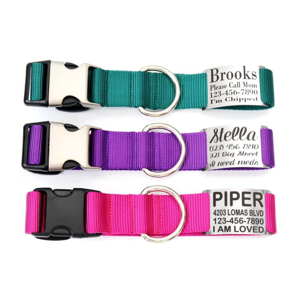 Curated visual reference: Picture Idea: 1 5 Inch Wide Nylon Engraved Nameplate Dog Collar