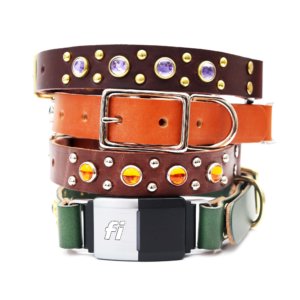 Studded Leather Fi Compatible Belt Buckle Collar stack
