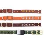 Studded Leather Fi Compatible Belt Buckle Dog Collar — Durango Kid