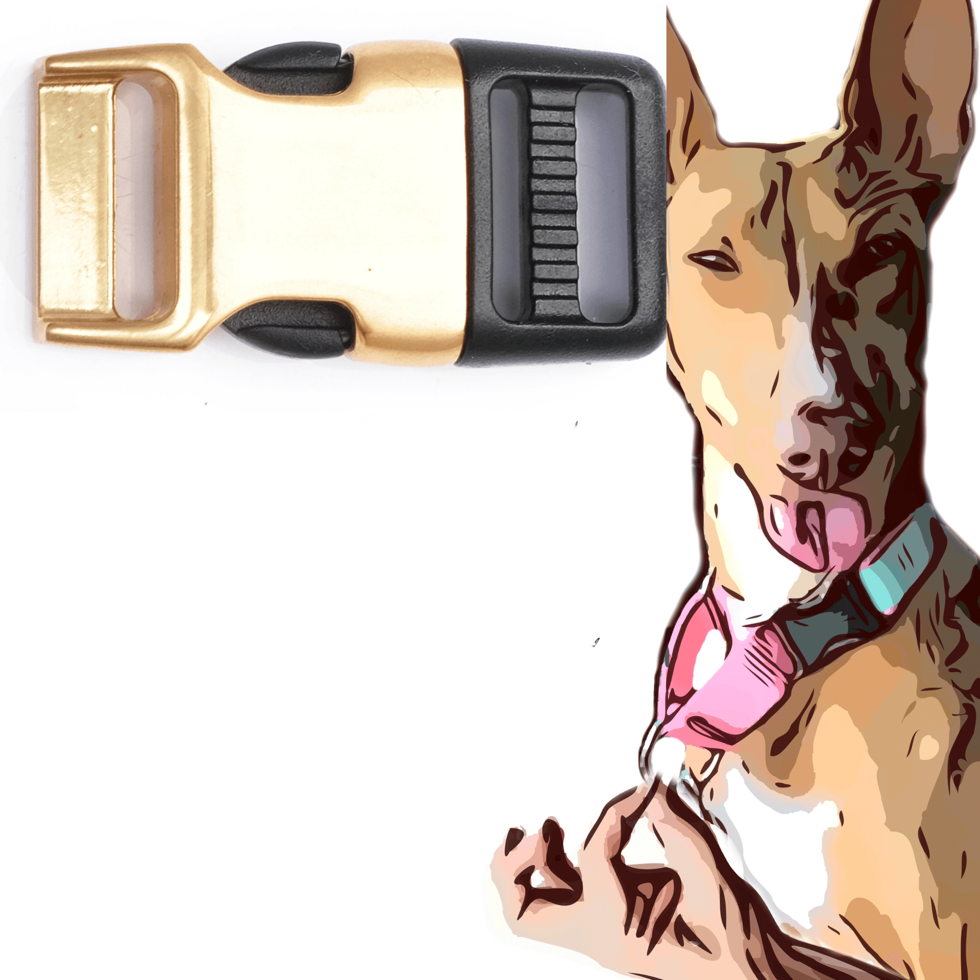 Martingale Style with Brass Hybrid Buckle