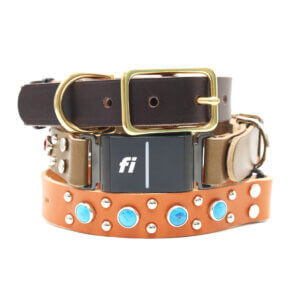 fi compatible studded leather belt buckle collars (durango kid)
