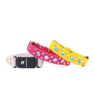 fi compatible studded waterproof belt buckle collars (durango kid)