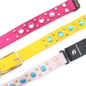 fi compatible studded waterproof belt buckle collars (durango kid)