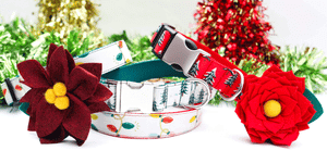 holiday collection menu pic