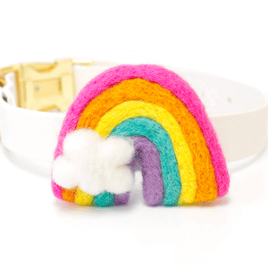 bright rainbow dog collar accessory menu image