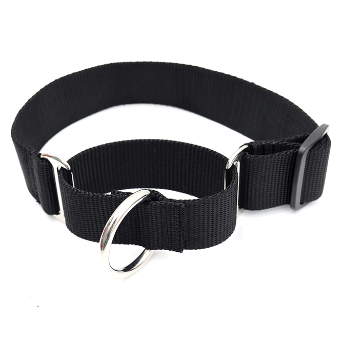 non-slip collar martingale