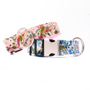 rifle paper company petite rose wide dog collar