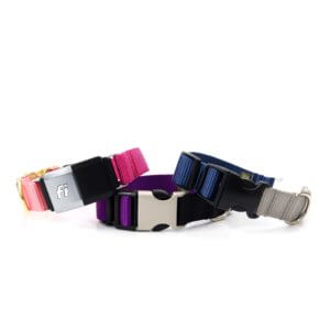 two tone nylon fi compatible collars