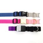 Fi Compatible Nylon Webbing Dog Collar - Colorful Two Tone Collar