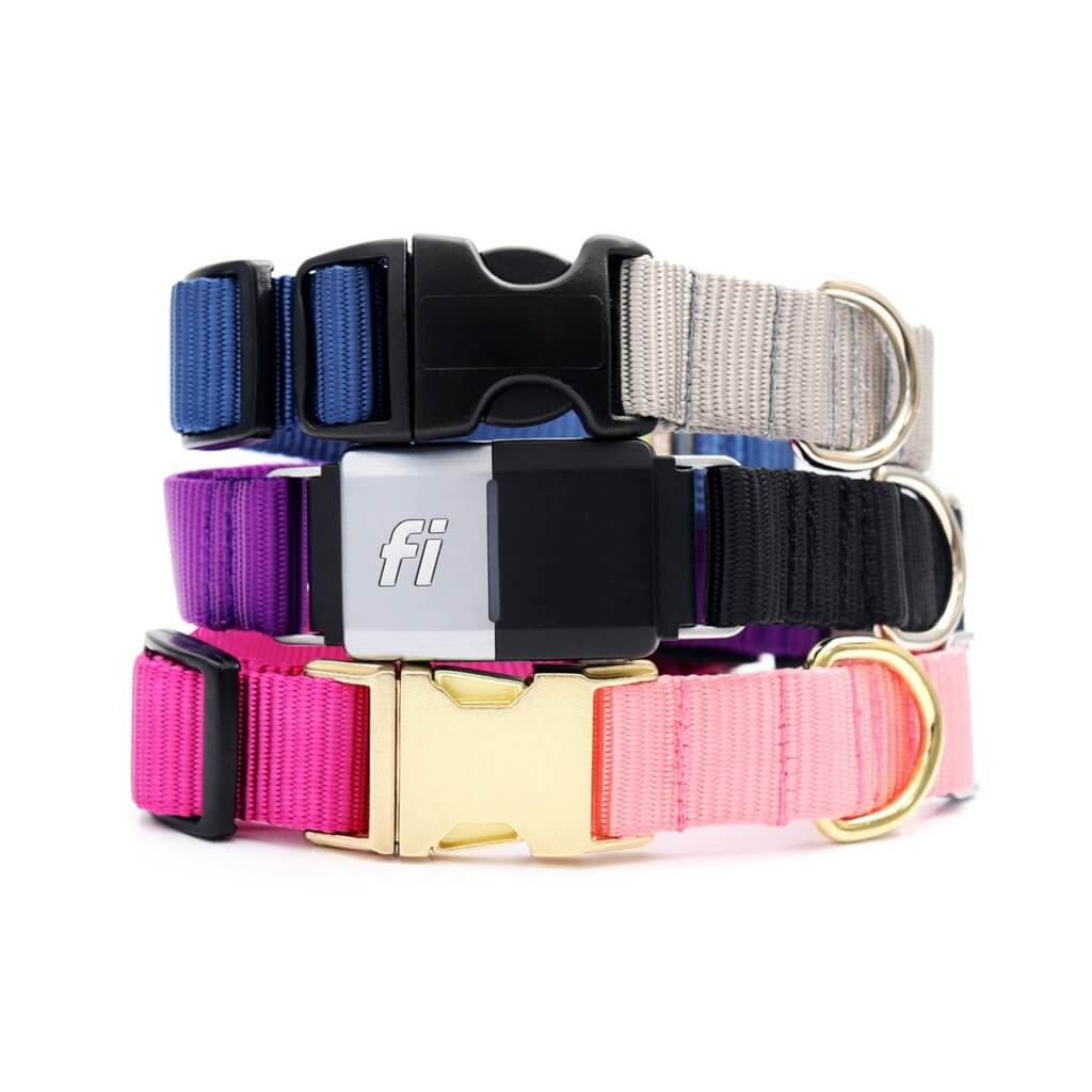 Fi Compatible Dog Collars & Replacement Bands Mimi Green