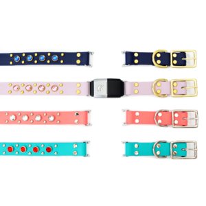 waterproof belt buckle studded fi compatible collar biothane
