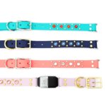 Studded Waterproof Fi Compatible Belt Buckle Dog Collar — Durango Kid