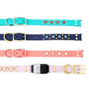 waterproof belt buckle studded fi compatible collar biothane