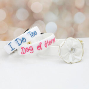 wedding dog collar and flower