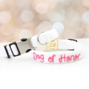 wedding dog collar dog of honor